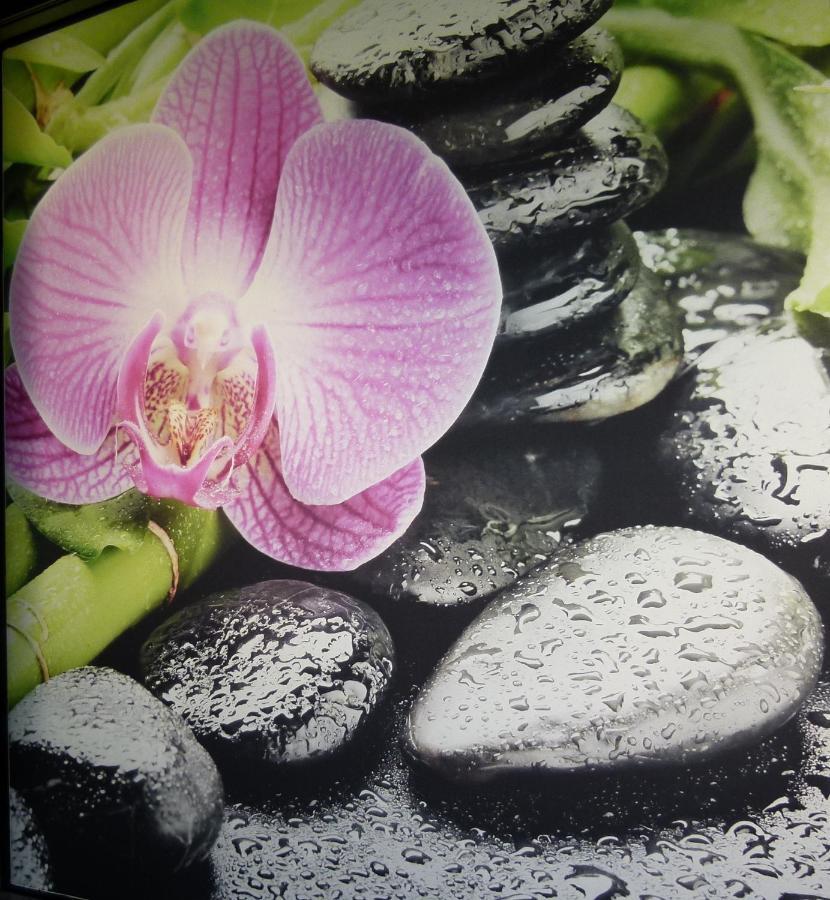Boutique Hotel Bel Sito Wellness & Private Spa Bardolino Ngoại thất bức ảnh